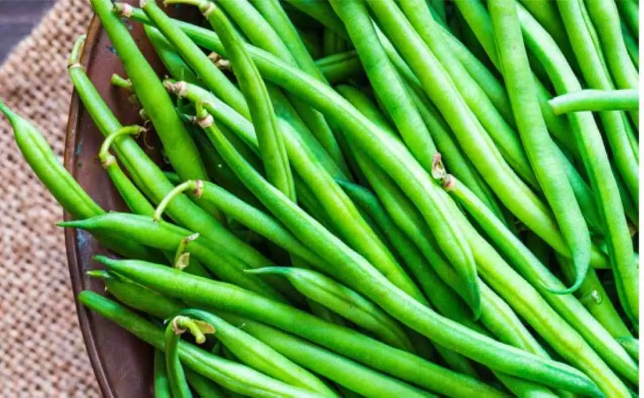 Non piantare i fagiolini ad agosto prima di aver letto questo: ecco cosa succede davvero