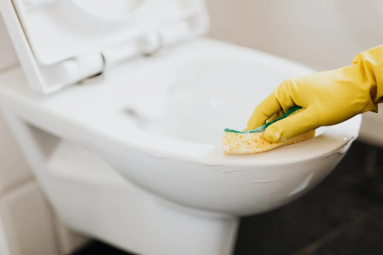 Il trucco definitivo per pulire e disinfettare il bagno usando solo prodotti naturali