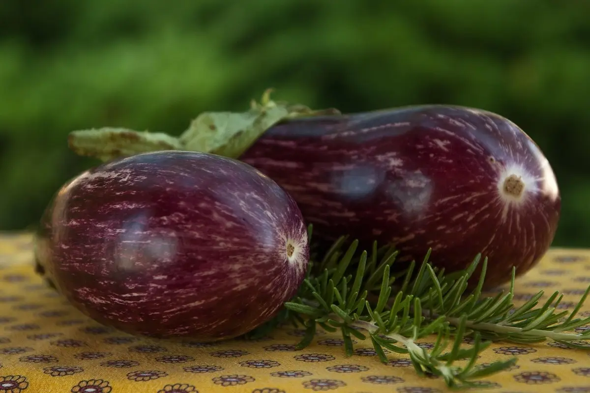 Non abbinare mai le melanzane a questa verdura comune: ecco perché rovinano il tuo piatto