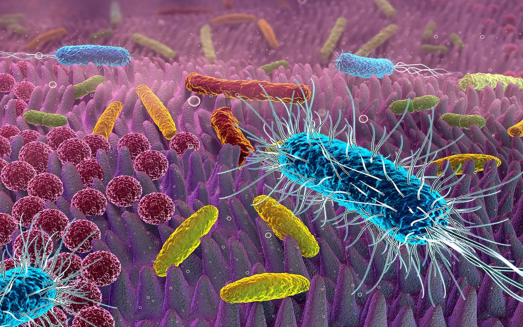 Non basta pulire: ecco l’errore comune che fa restare il tuo bagno pieno di batteri