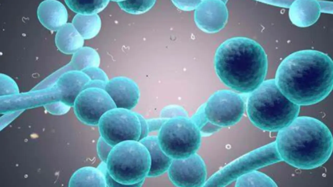 I tuoi vestiti sono contaminati da batteri pericolosi? Ecco il ciclo di lavaggio che elimina tutto