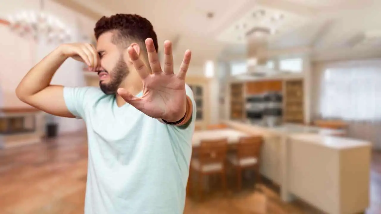 Cattivi odori persistenti? Ecco come misurarli e trovare la causa nascosta