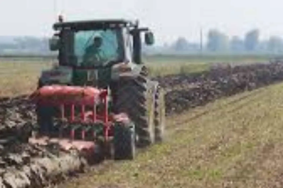 Che cos’è la sarchiatura dell’orto? il trucco antico per un orto sempre perfetto