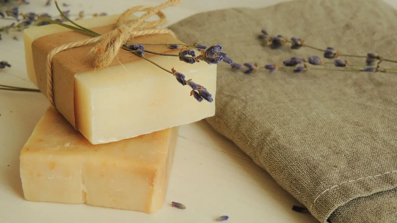 L’errore che fanno tutti usando il sapone di Marsiglia sulle piante: ecco quando spruzzarlo