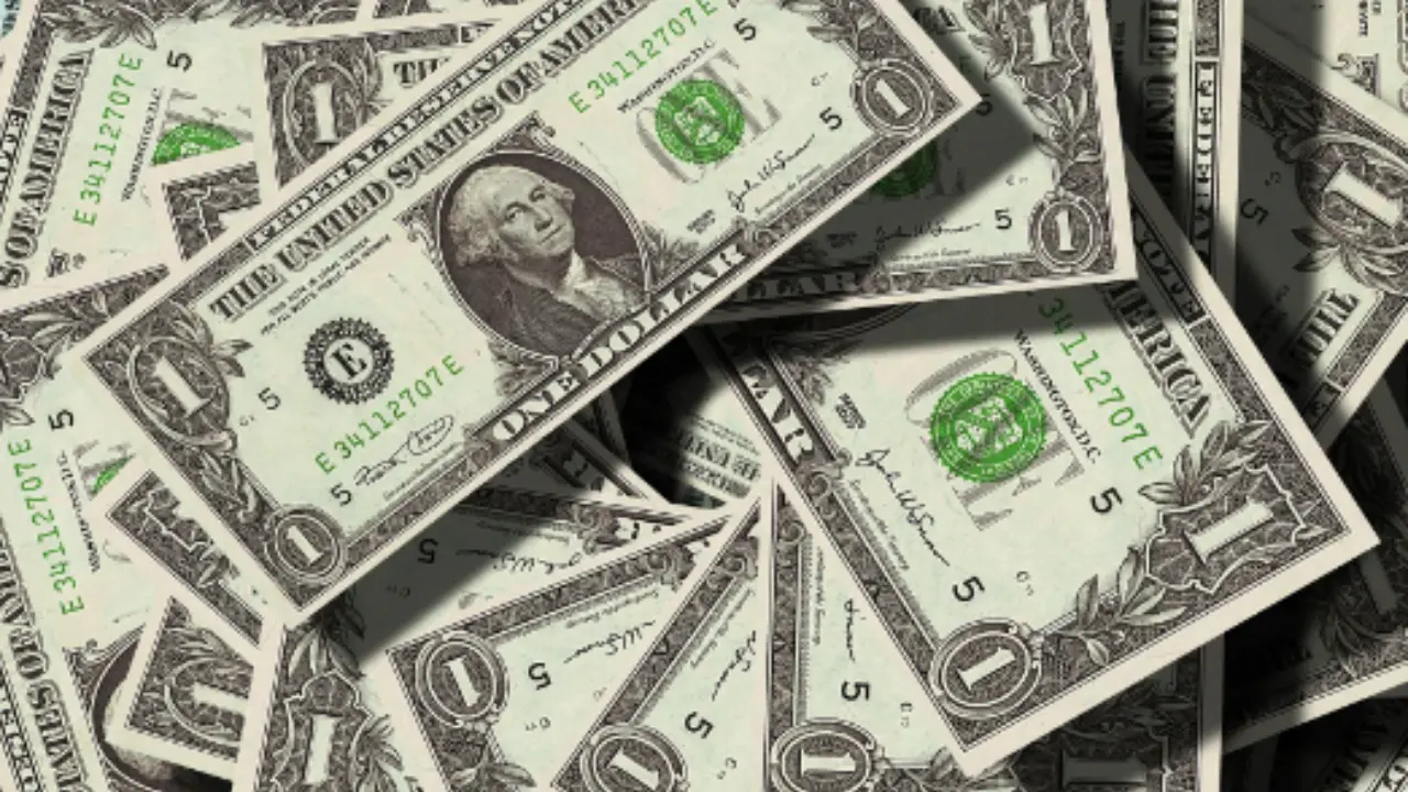 Viaggio negli Stati Uniti o acquisti online? Ecco cosa significa davvero la valuta USD e come risparmiare